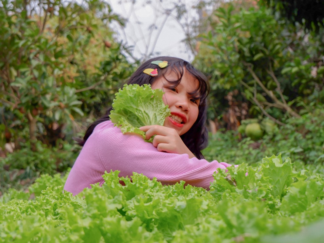 Variedad de alimentos nutritivos para niños